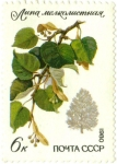Stamps Russia -  Arboles y Arbustos Protegidos