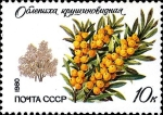 Stamps Russia -  Arboles y Arbustos Protegidos