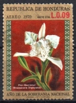 Stamps Honduras -  FLOR  NACIONAL  BRASSAVOLA  DIGBYANA
