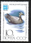 Sellos de Europa - Rusia -  XVIII Congreso Ornitológico Internacional