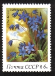 Stamps Russia -  Flores de primavera. Esquila siberiana