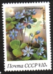 Stamps Russia -  Flores de primavera. Anemone hepatica
