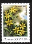 Sellos de Europa - Rusia -  Flores de primavera. Gagea lutea