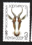 Sellos de Europa - Rusia -  Zoológico de Moscú, 120 aniversario. Bontebok (Damaliscus pygargus)