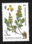 Stamps Russia -  Plantas medicinales protegidas en Siberia