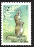 Stamps Russia -  Animales Protegidos, Musaraña Pamir (Sorex bucharensis)