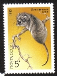 Sellos de Europa - Rusia -  Animales protegidos, lirón del desierto (Selevinia betpakdalaensis)