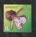 Stamps Romania -  6105 - Orquídea