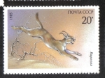 Stamps Russia -  Animales protegidos, Carakal (Caracal caracal)