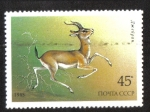 Sellos de Europa - Rusia -  Animales protegidos, Gacela gacela (Gazella subgutturosa)