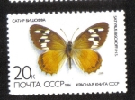 Sellos de Europa - Rusia -  Mariposas, Ermitaño Naranja (Satyrus bischoff)