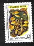 Stamps Russia -  Hongos, Mechón de azufre (Hypholoma fasciculare)