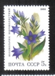 Sellos de Europa - Rusia -  Flores de bosque caducifolio. Bellflower gigante (Campanula latifolia)