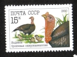 Sellos de Europa - Rusia -  Aves de Corral, Pavo domesticado (Meleagris gallopavo)