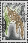 Stamps : Africa : Madagascar :  arroz