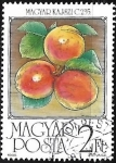 Stamps : Europe : Hungary :  Frutas - Albaricoque