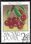 Stamps : Europe : Hungary :  Frutas - Guindas