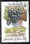 Stamps Hungary -  Frutas - Uvas