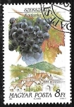 Stamps : Europe : Hungary :  Frutas - Uvas