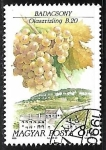 Stamps : Europe : Hungary :  Frutas - Uvas