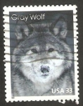 Sellos de America - Estados Unidos -  2862 - Fauna de la Antártica, lobo gris