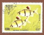 Stamps Cambodia -  638