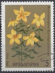 Stamps Bulgaria -  1981 - Malas hierbas de San Juan