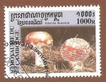 Sellos de Asia - Camboya -  2069