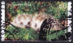 Stamps Germany -  erizos