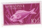 Stamps Spain -  Sahara Dia del Sello  Colonial 1954