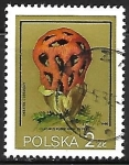 Stamps : Europe : Poland :  Setas - Clathrus ruber)
