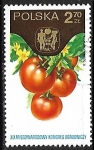 Sellos de Europa - Polonia -  Frutas - Tomates 