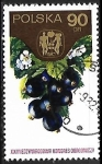 Stamps Poland -  Frutas - Grosella 