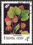 Stamps Russia -  Frutas - Mora