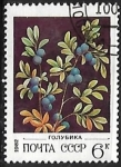Stamps Russia -  Frutas - Arándano 