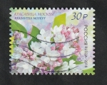 Stamps Russia -  7914 - Flor de Rusia, syringa vulgaris
