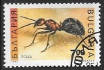 Stamps : Europe : Bulgaria :  insectos