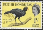 Stamps Belize -  aves