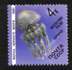 Stamps Russia -  Fauna del mar negro