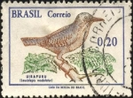 Stamps Brazil -  Uirapuru (leucolepis modulator).