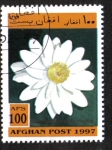 Stamps : Asia : Afghanistan :  Aquatic Plants