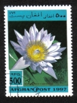 Stamps Afghanistan -  Aquatic Plants