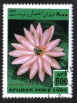 Stamps Afghanistan -  Aquatic Plants