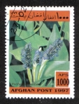 Sellos de Asia - Afganist�n -  Aquatic Plants