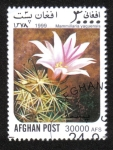 Sellos de Asia - Afganistn -  Cactus