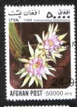 Stamps : Asia : Afghanistan :  Cactus
