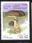 Stamps : Asia : Afghanistan :  Hongos