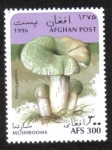 Stamps : Asia : Afghanistan :  Hongos