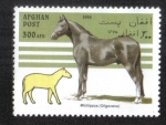 Stamps Afghanistan -  Caballos