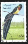 Stamps Afghanistan -  Pájaros